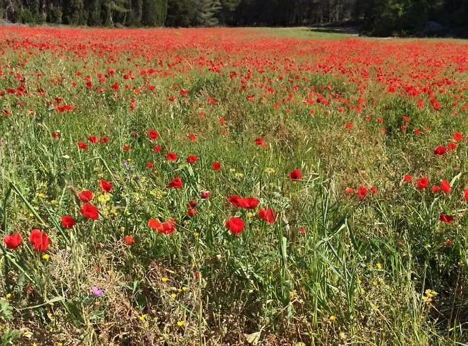 アパート T2 Les Jardins グリュイッサン